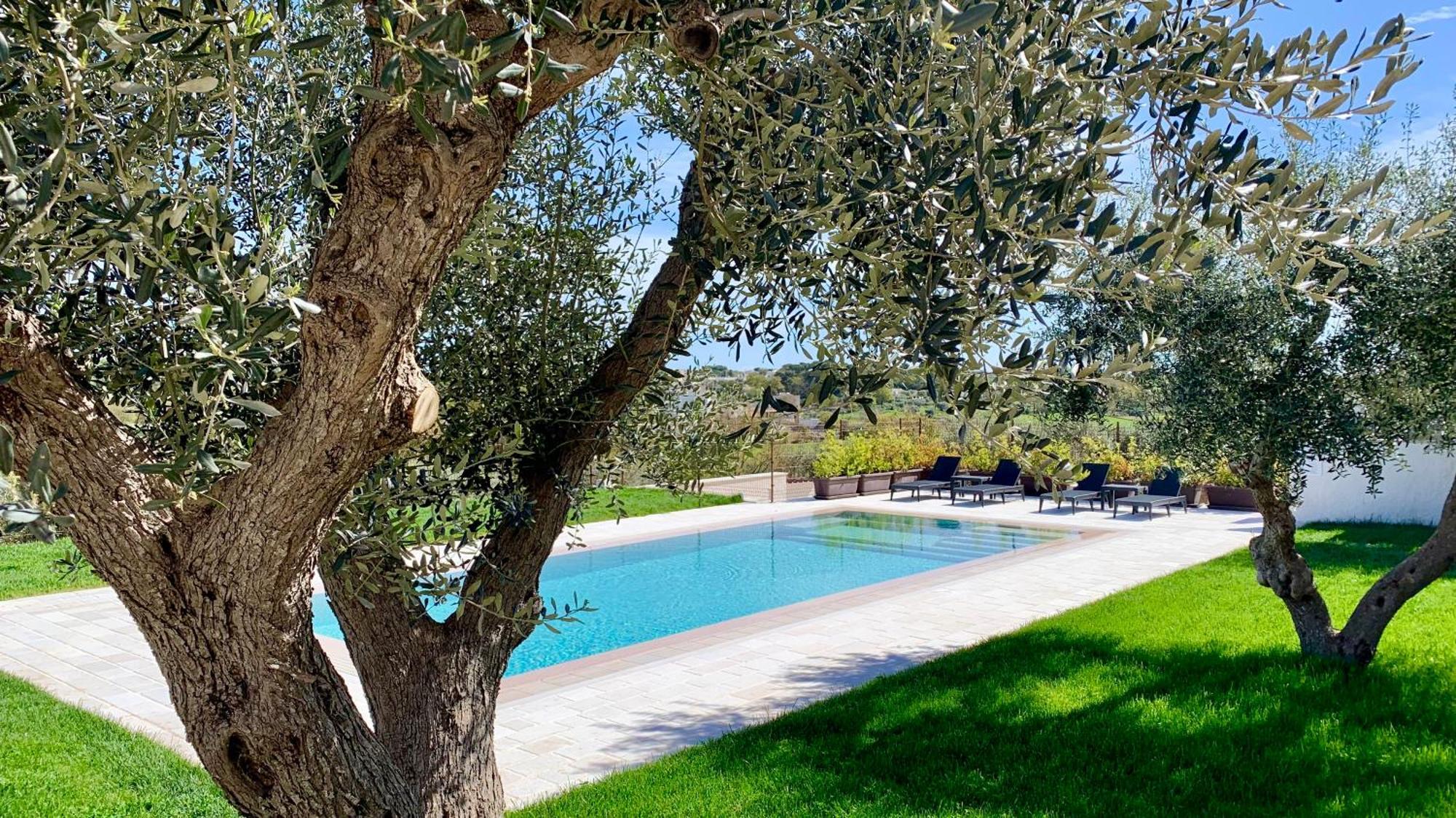 B&B Villa Maggi Locorotondo Esterno foto